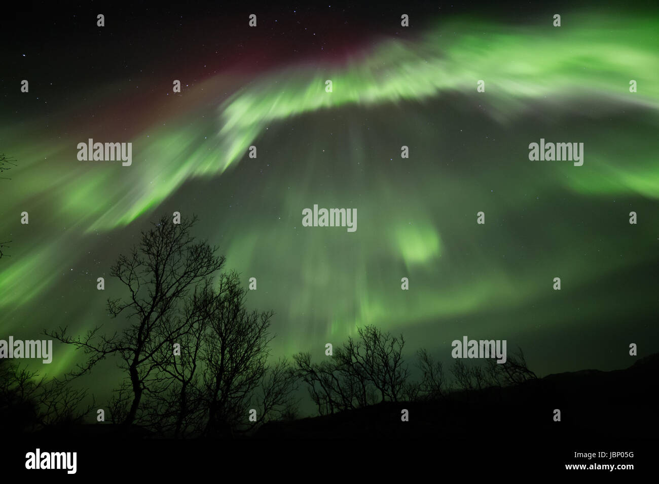 Aurora borealis or northern lights moving across night sky within the ...
