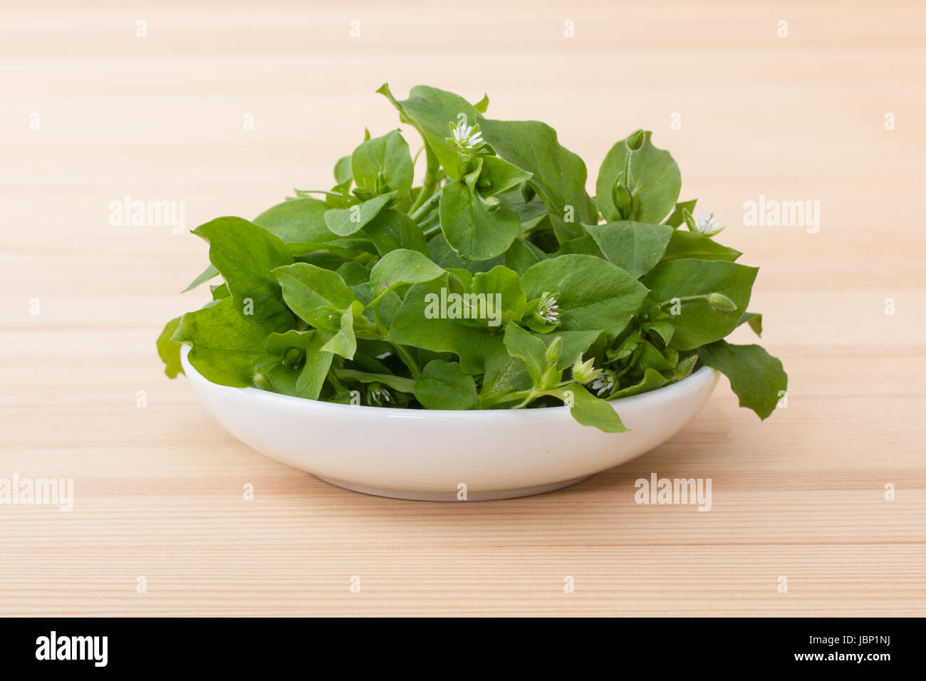 White porcelain bowl with chickweed Stock Photo