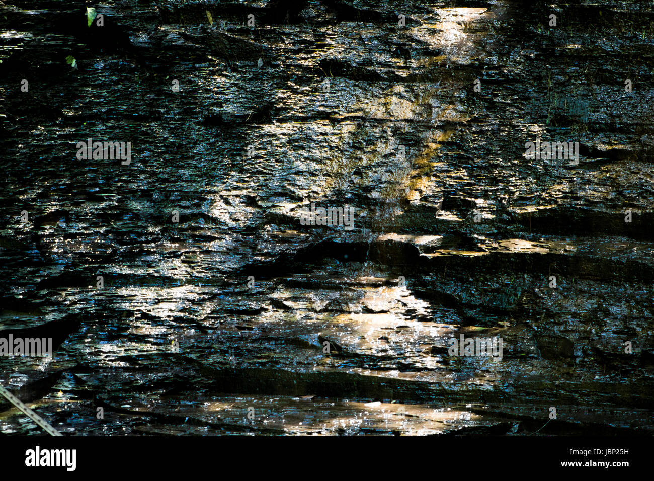 Glen Echo Park Columbus, OH, USA Stock Photo Alamy