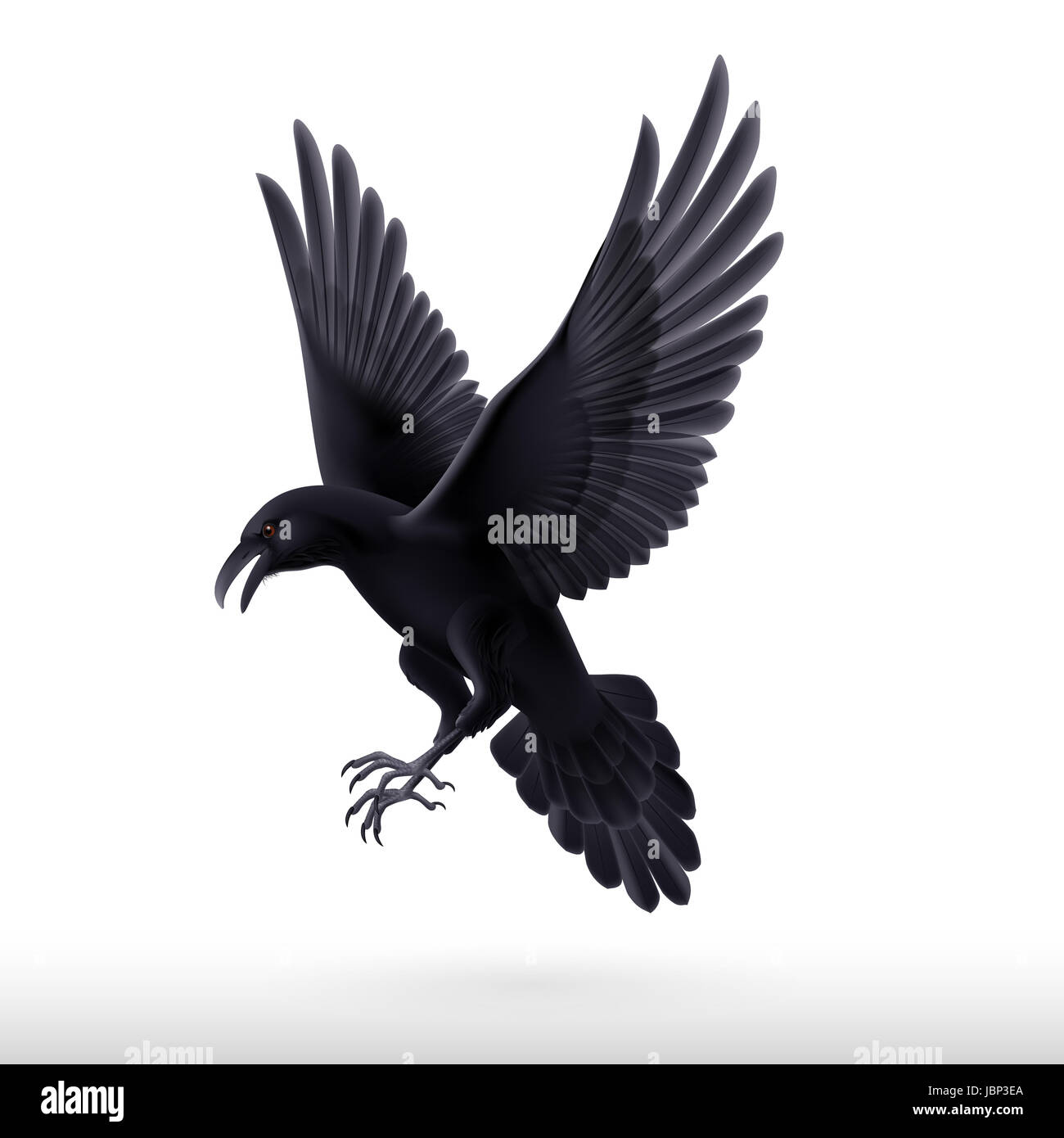 Aggressive black raven isolated on white background Stock Photo - Alamy
