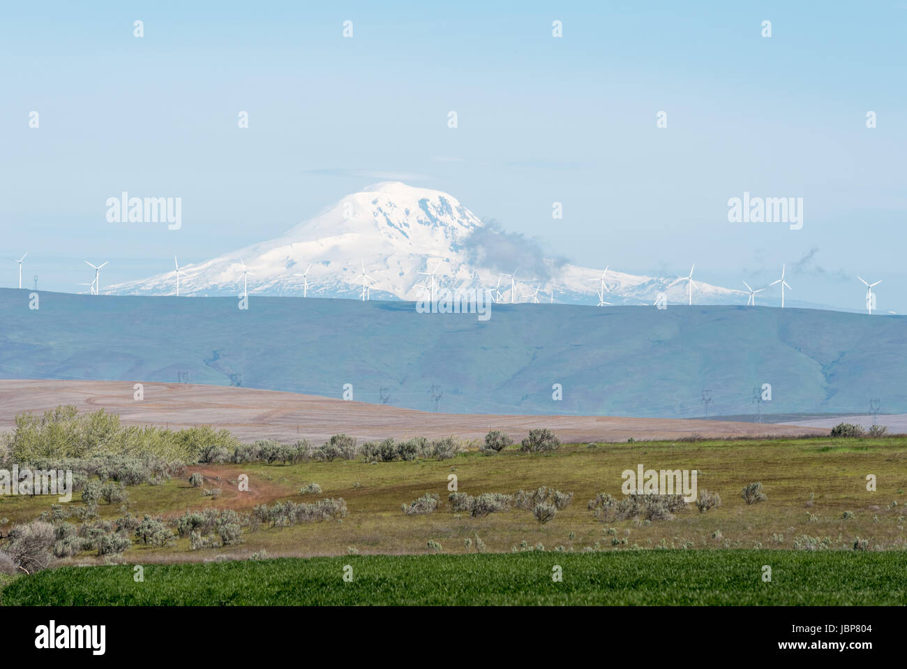 Wind turbines on a ridge above the Columbia River with Mt. Adams in the background (Oregon and Washington). Stock Photo