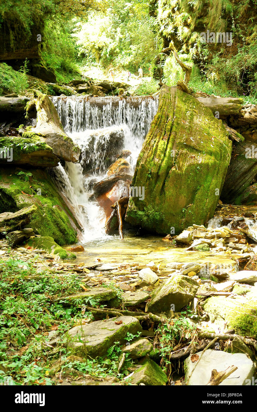 Water stream movement on the stone background, Nepal Himalayan forest ...