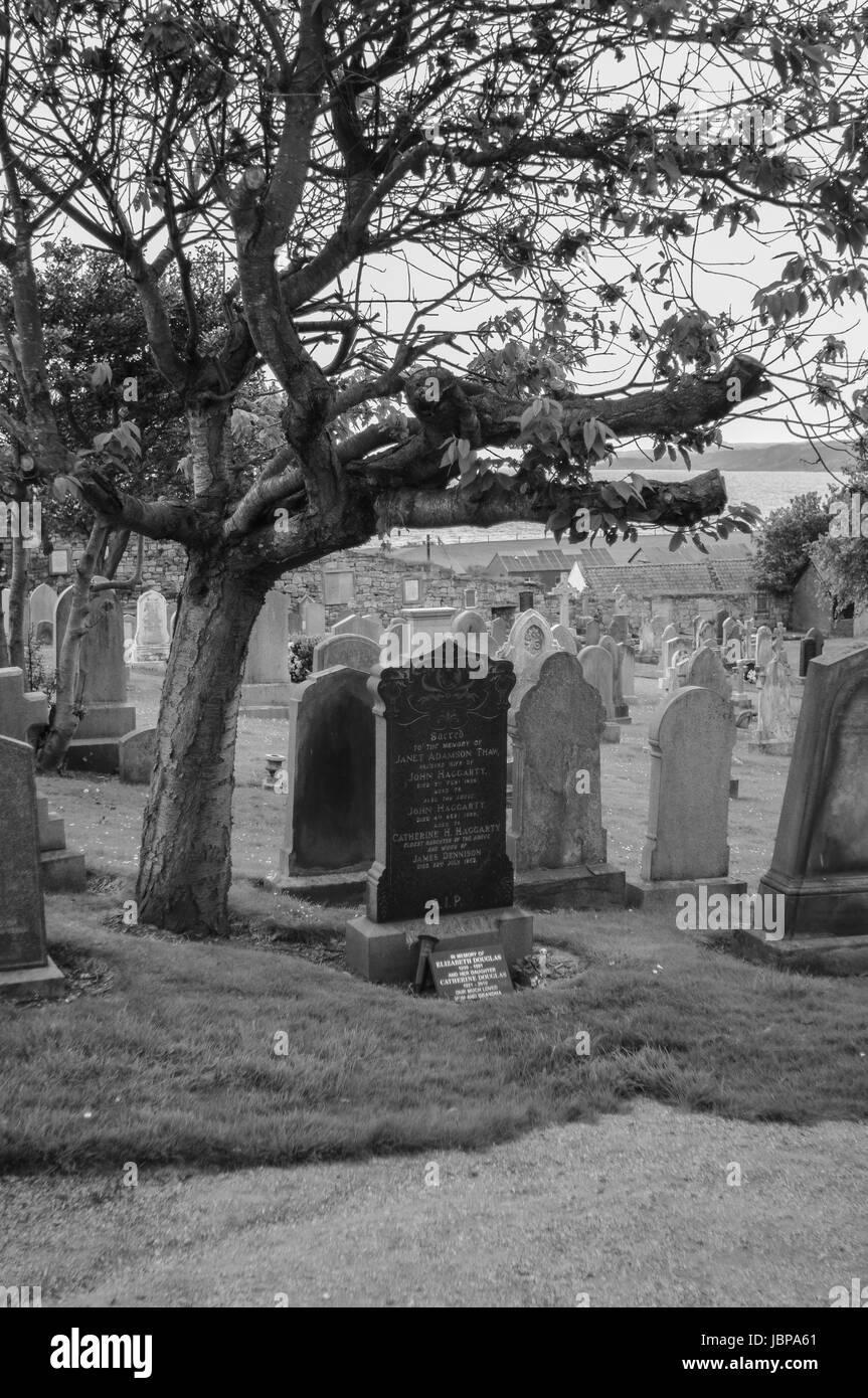 St Andrews cemetery in black and white. A trees hangs over a gravestone