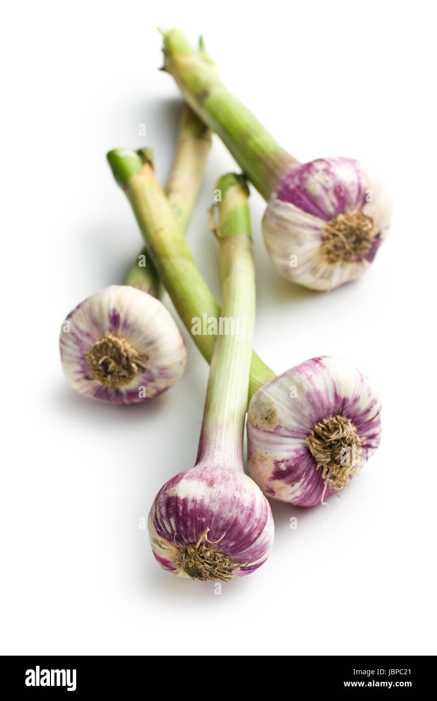 fresh garlic on white background Stock Photo - Alamy