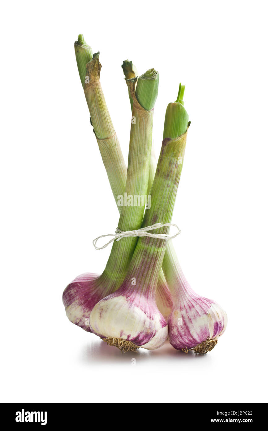 fresh garlic on white background Stock Photo - Alamy