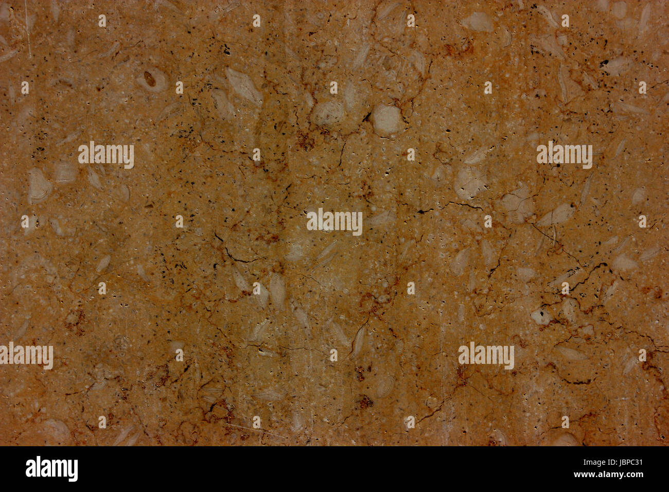 high-resolution-of-marble-background-JBPC31.jpg