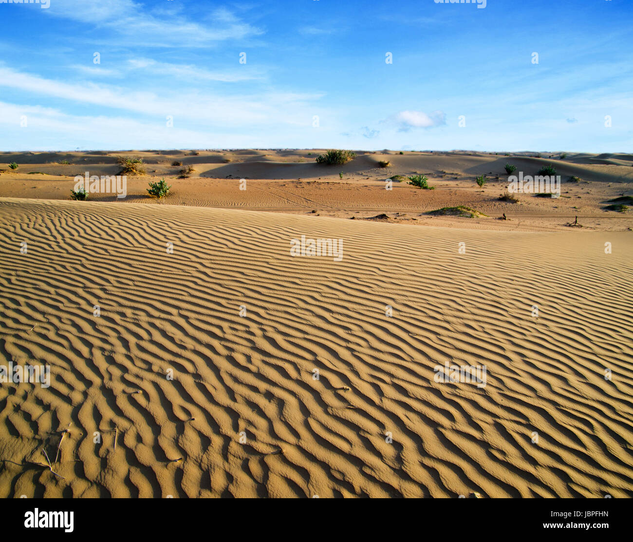 Desert landscape with blue sky Stock Photo - Alamy
