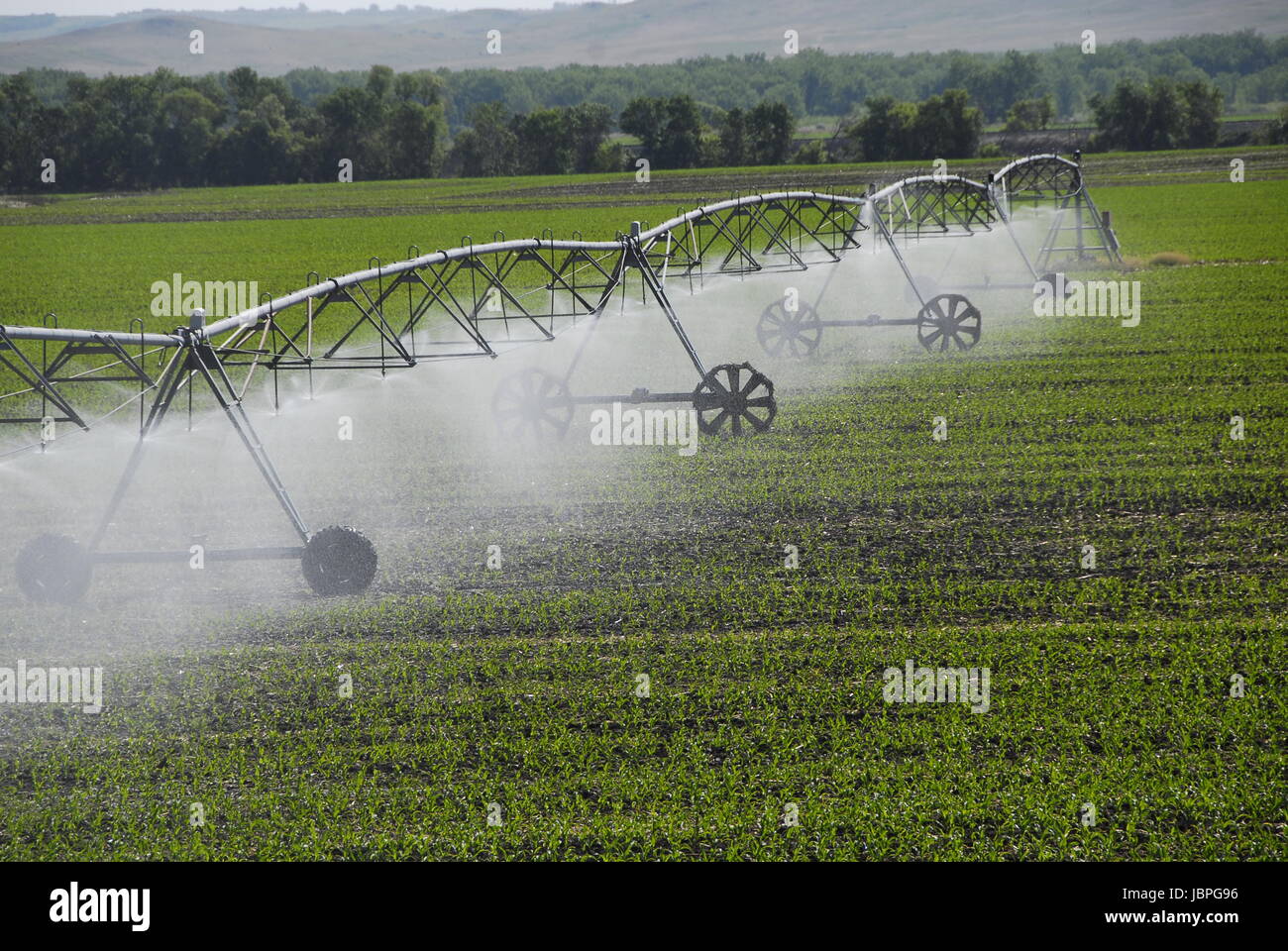 Center pivot irrigation system watering crops.in North Dakota. Stock Photo