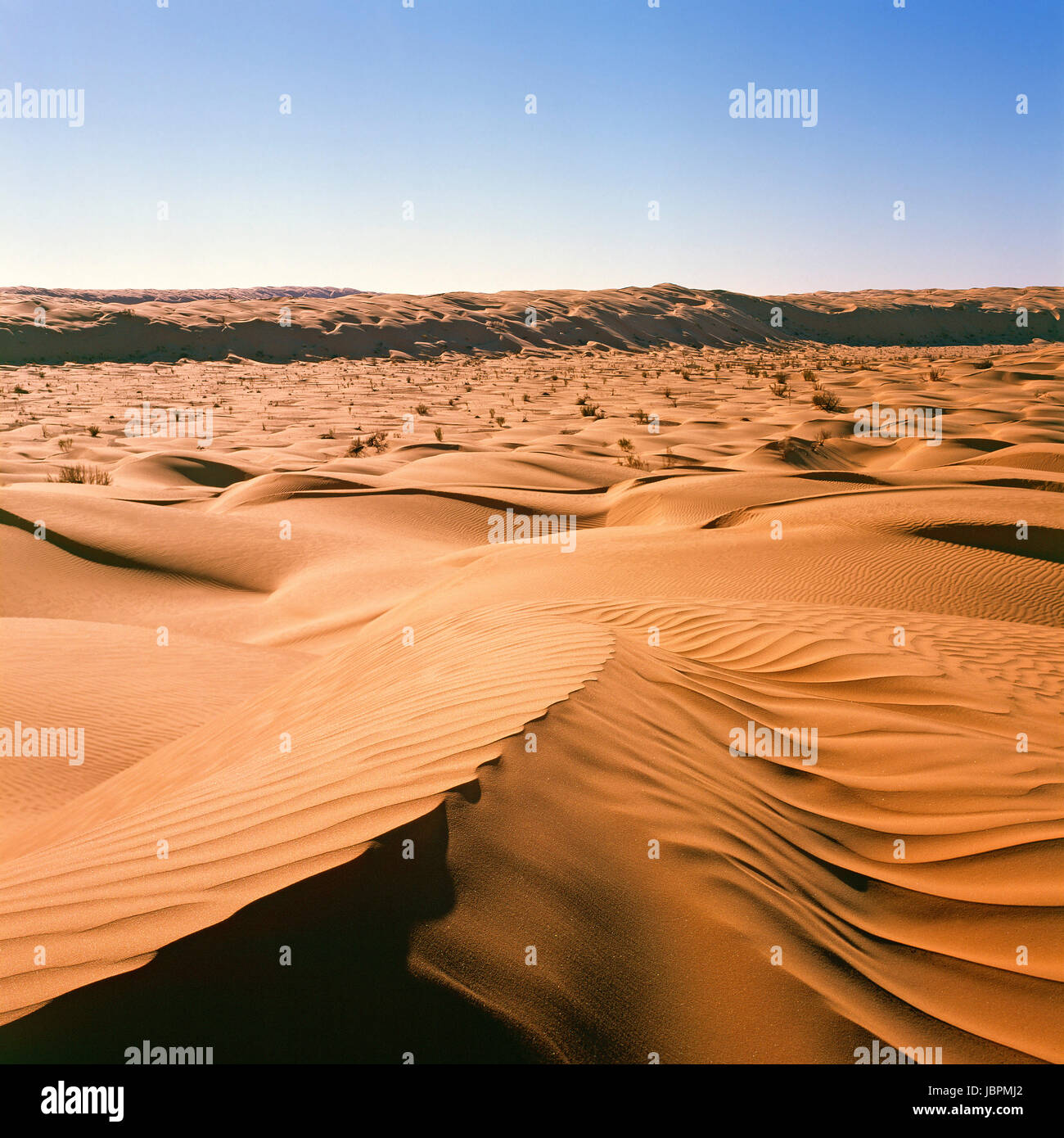 dunes picturesque Stock Photo
