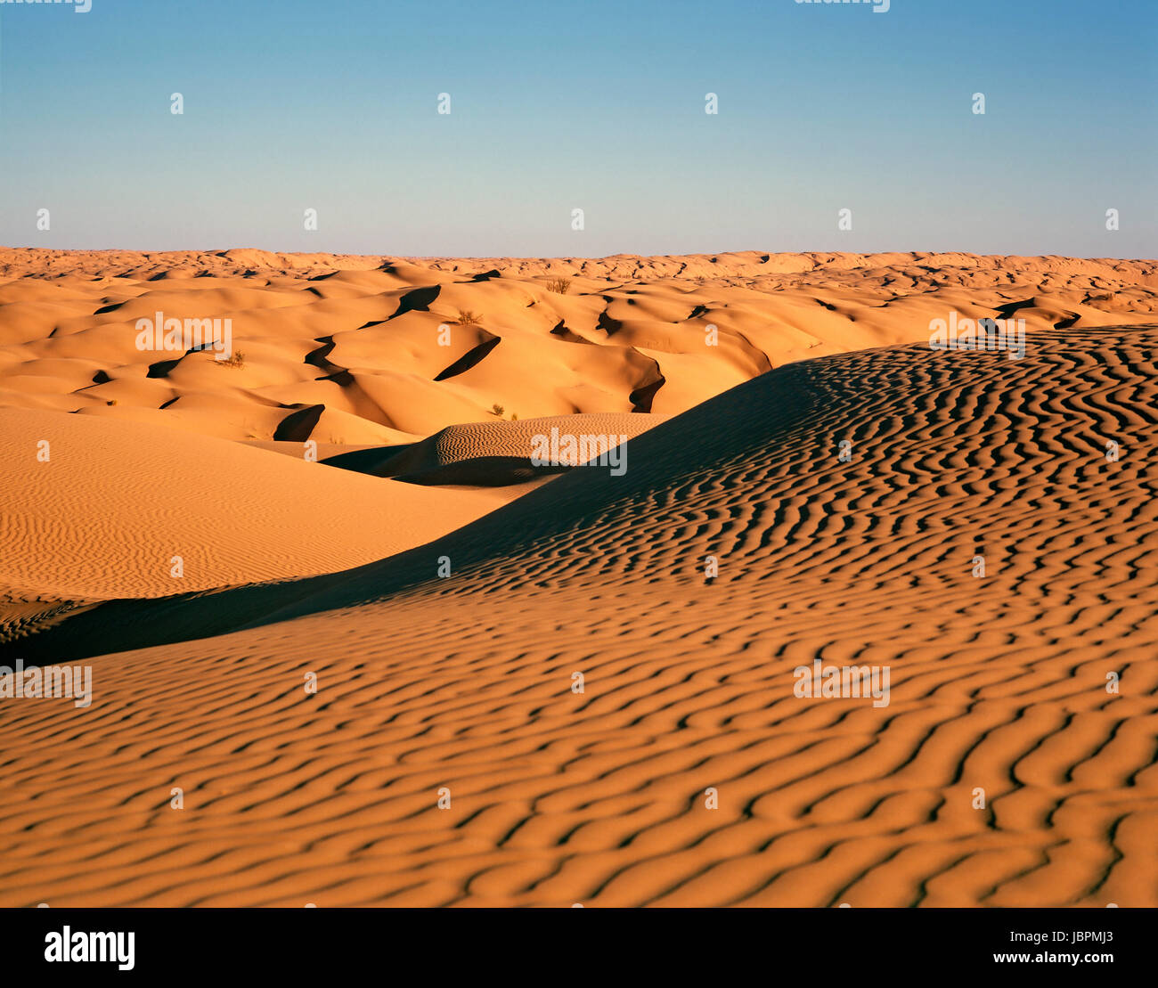 dunes picturesque Stock Photo