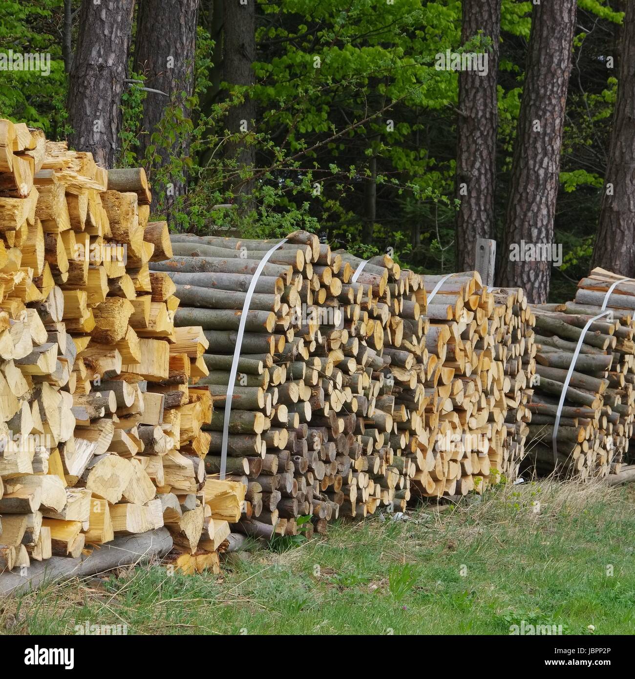 Holzstapel - stack of wood 49 Stock Photo