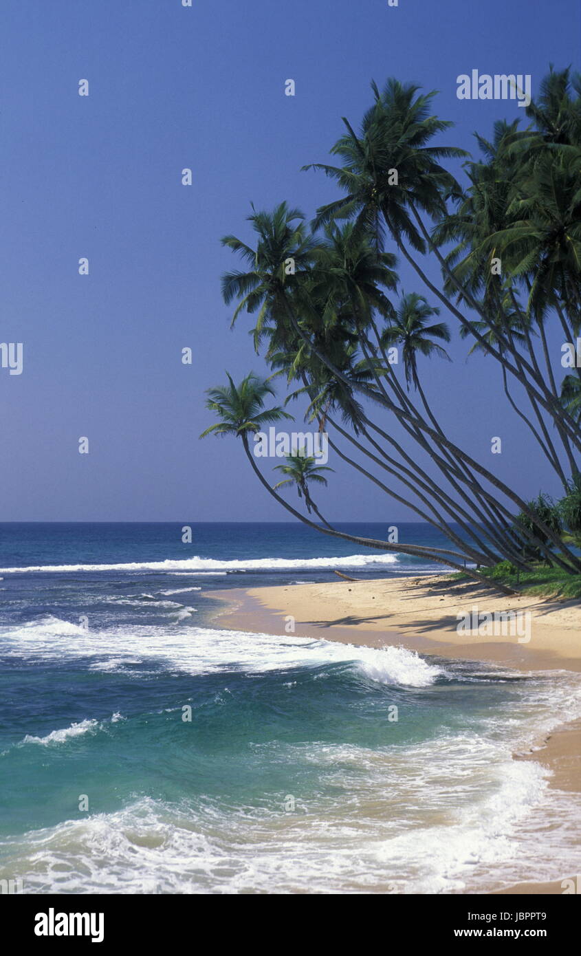 Natur von sri lanka hi-res stock photography and images - Alamy