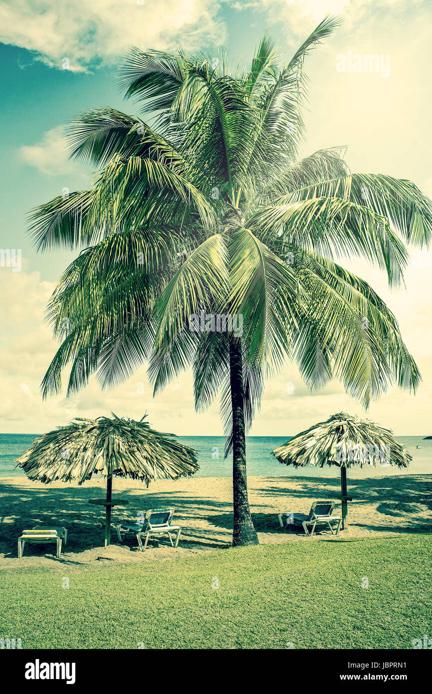 High resolution photo in best quality Stock Photo Alamy