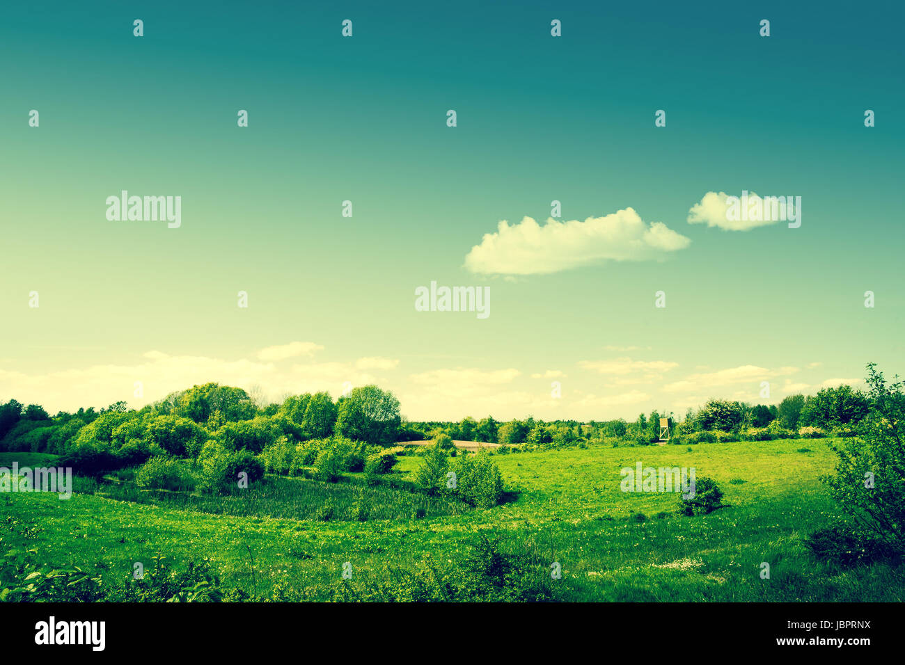 High resolution photo in best quality Stock Photo Alamy