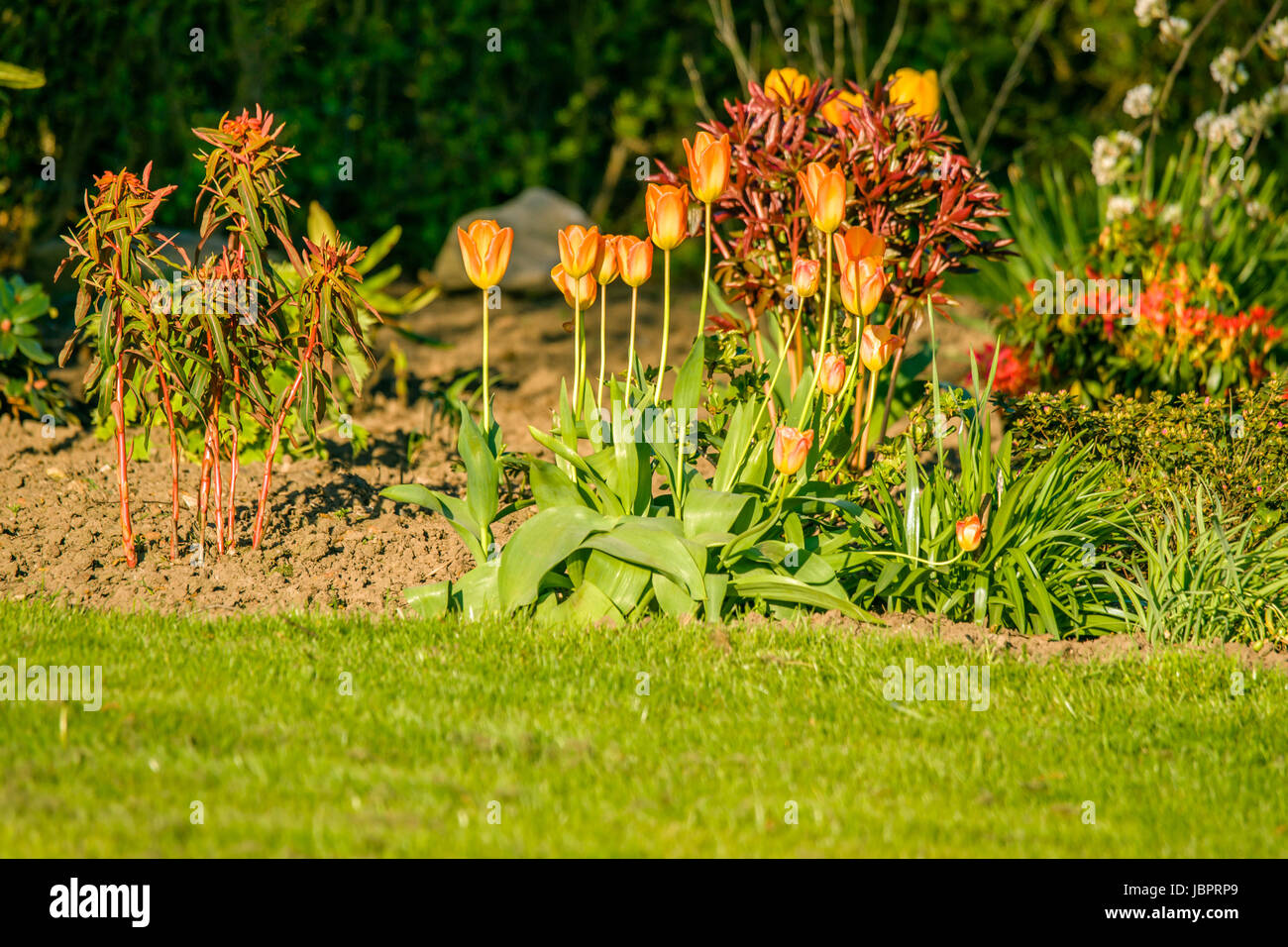 High resolution photo in best quality Stock Photo Alamy