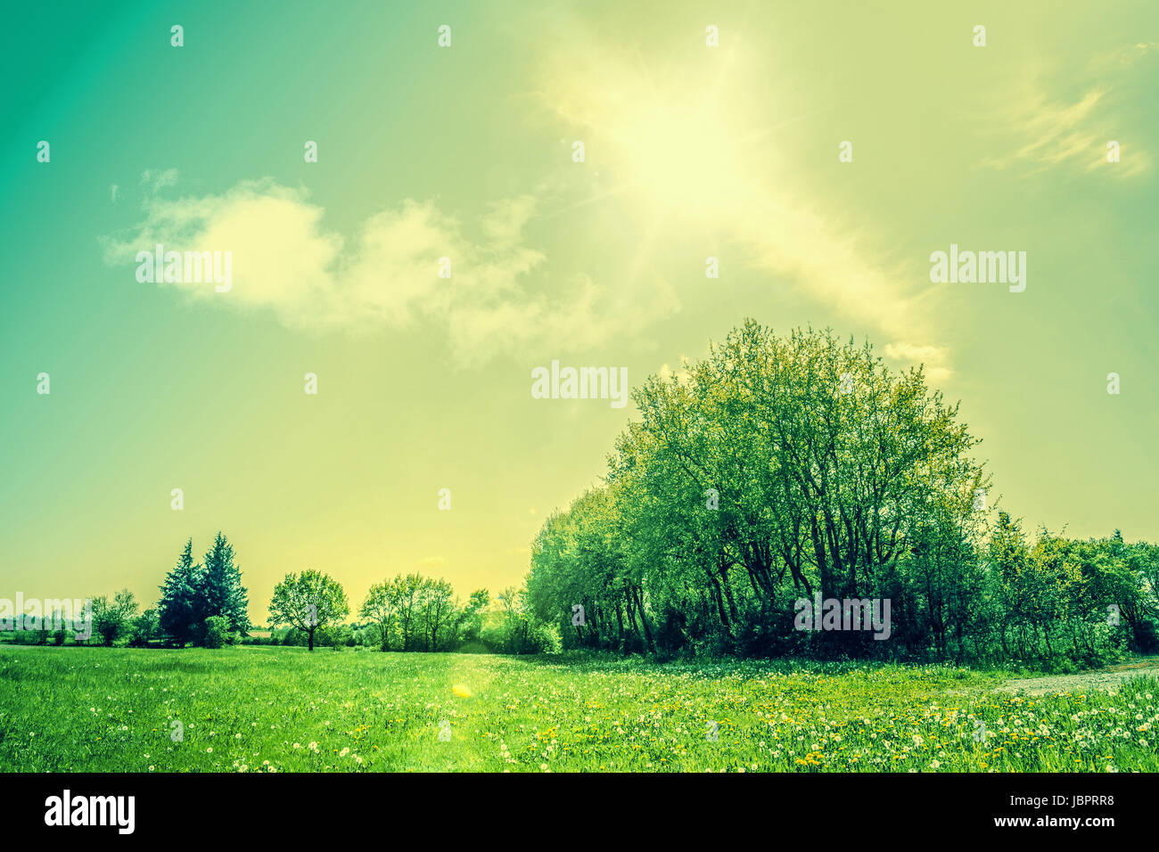 High resolution photo in best quality Stock Photo Alamy