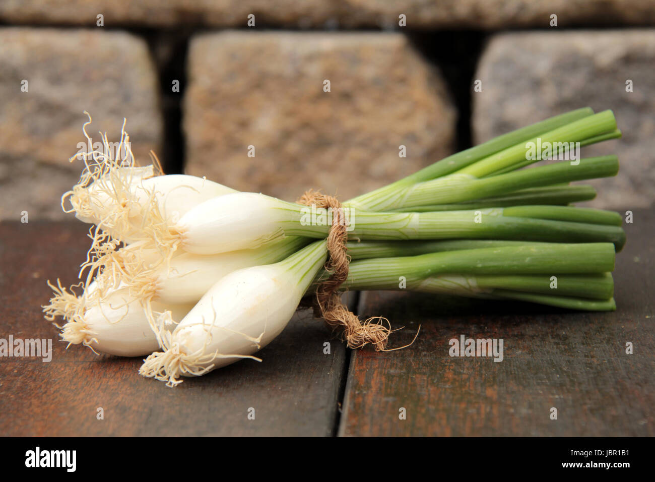 winter onion Stock Photo