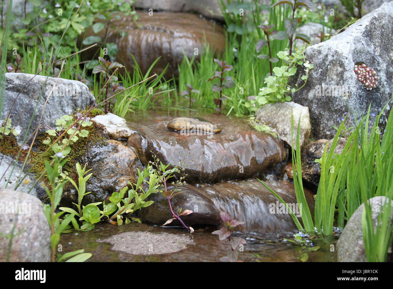 Bach History Garden Pond Stock Photo Alamy bach-history-garden-pond-stock-photo-alamy