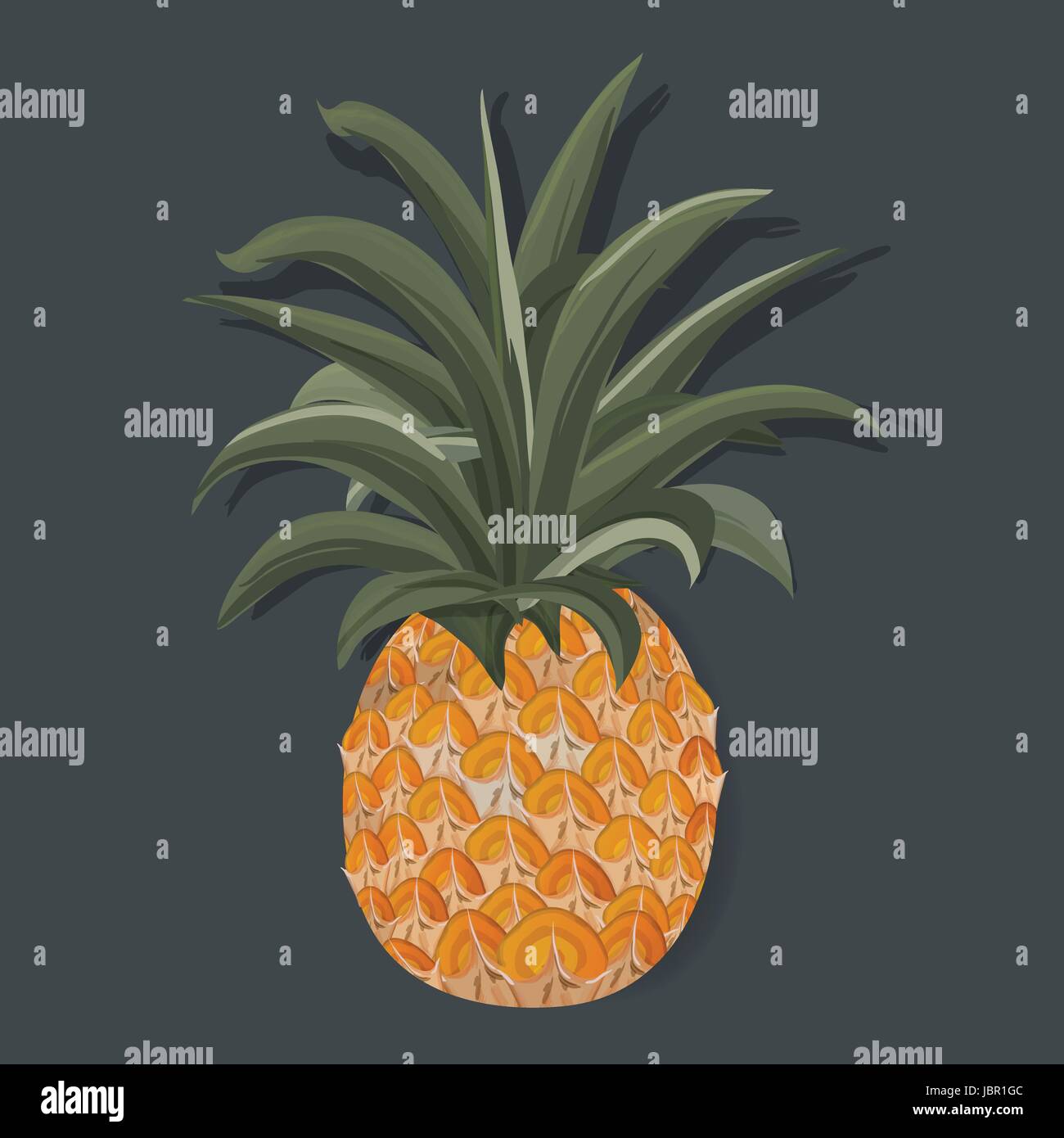 Fresh Pineapple Tropical Fruit Vector Illustration Stock Vector Image ...