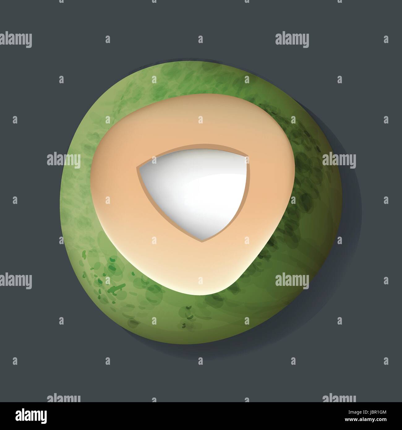 Fresh Cut Open Coconut Vector Illustration Stock Vector Image & Art Alamy