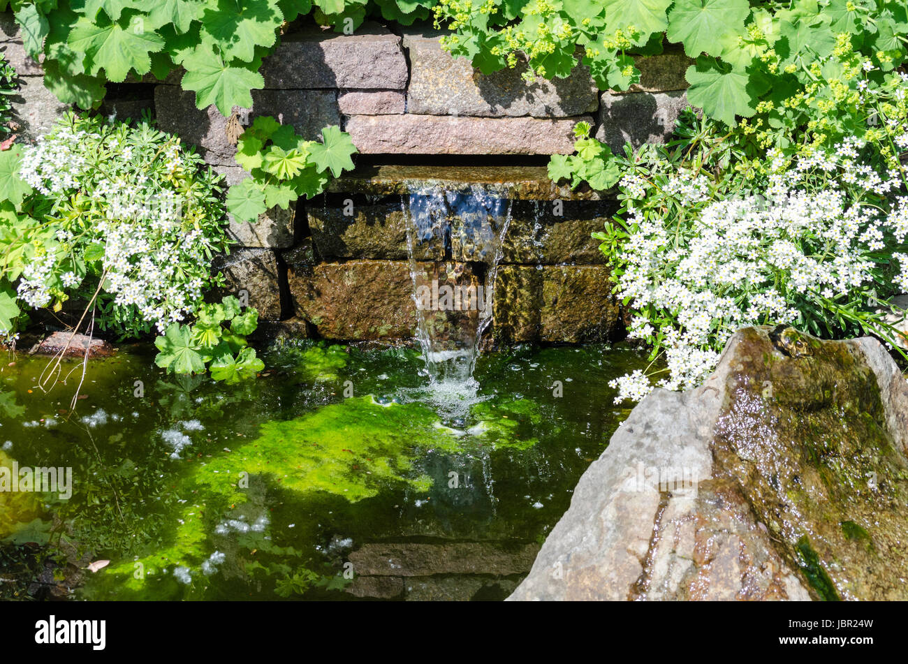 Blick Auf Einen Kleinen Wasserfall Und Gartenteich Stock Photo Alamy