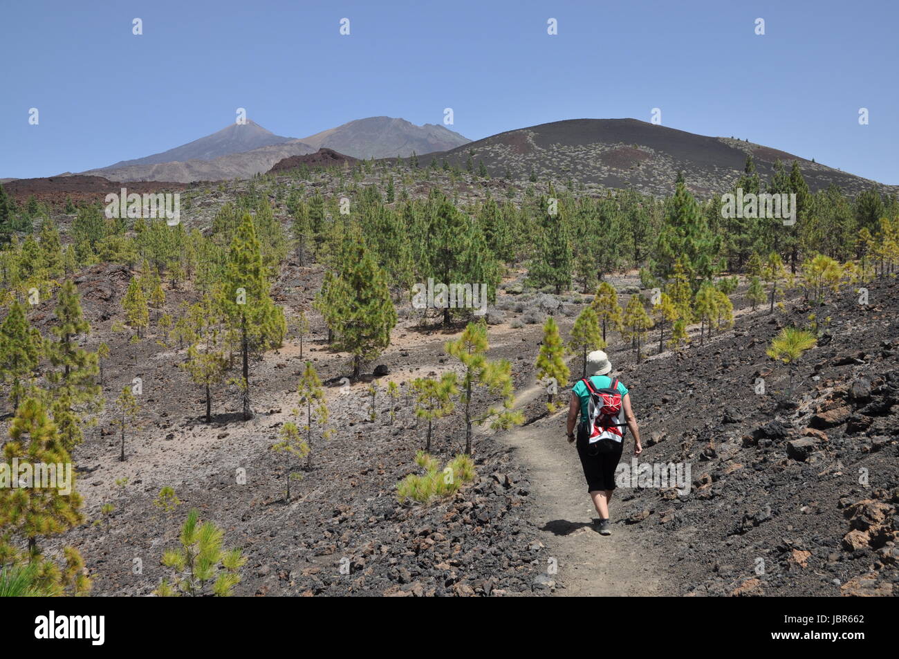 Aufstieg, Montana de la Botija, Teneriffa,