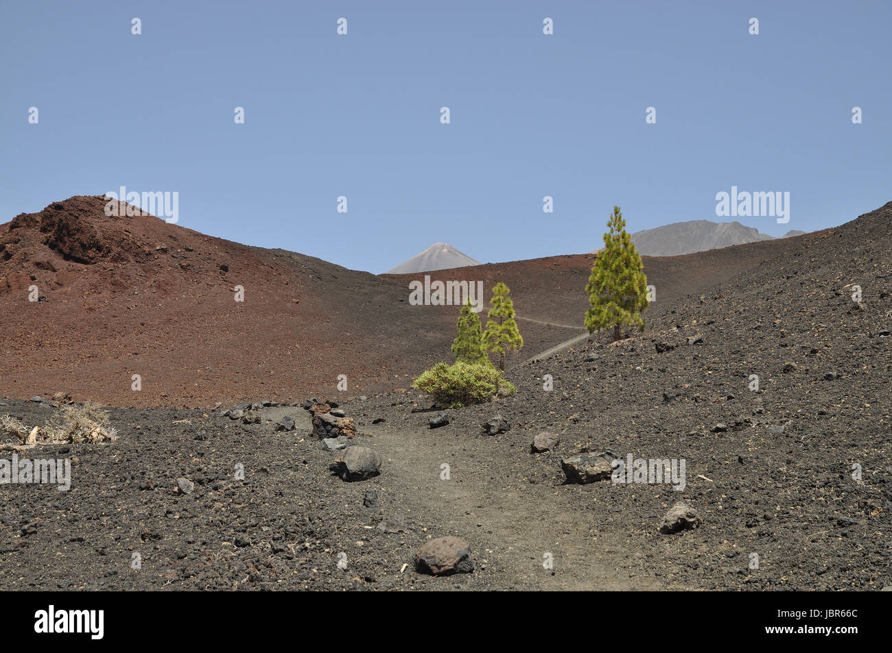 weg, Montana de la Botija, Teneriffa,