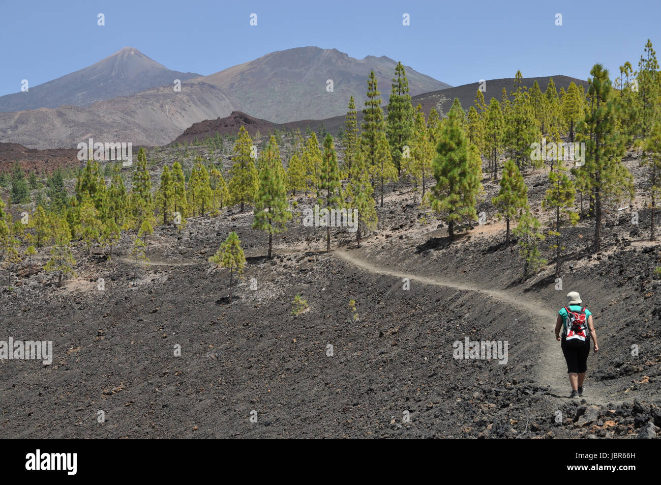 Ascent to Montana de la Botija, Tenerife Stock Photo Alamy
