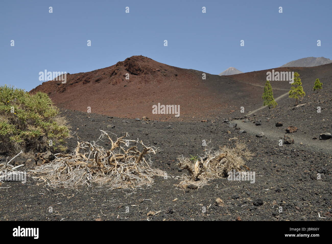 Montana de la Botija, Teneriffa, volcan