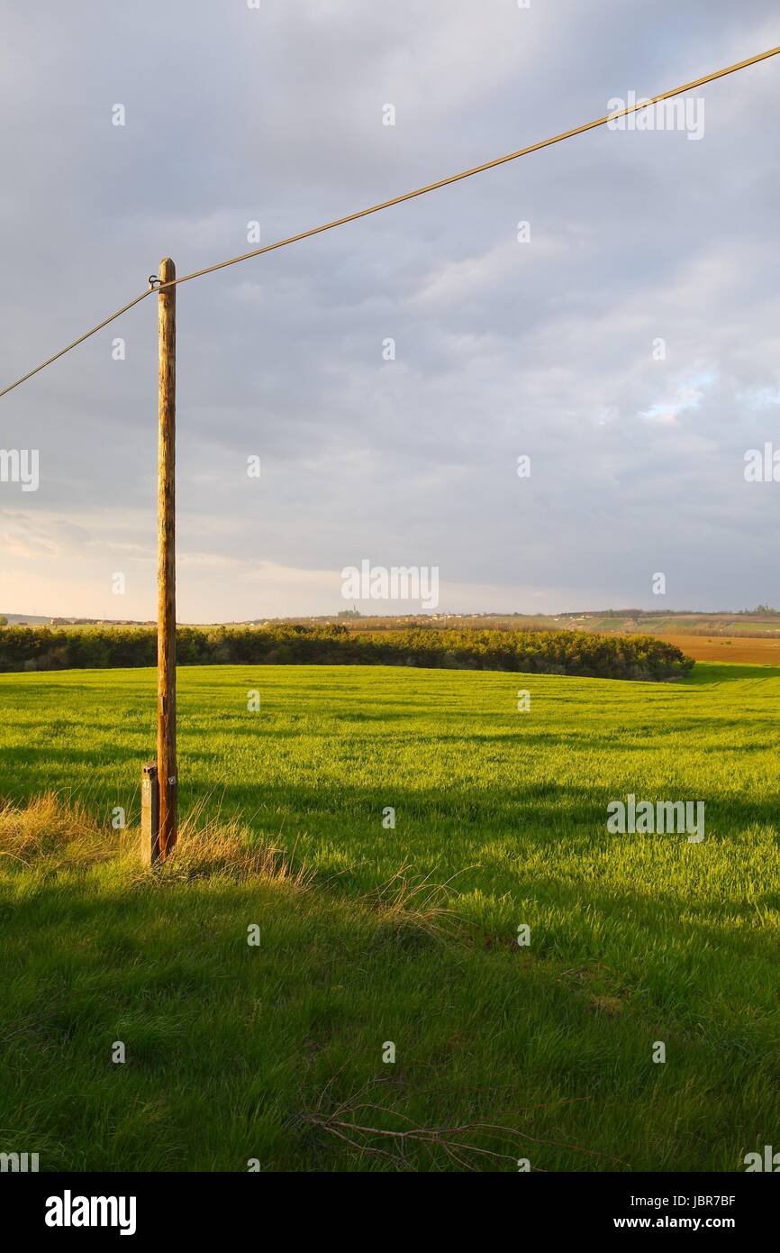 Agricultural field in late sunlight Stock Photo - Alamy