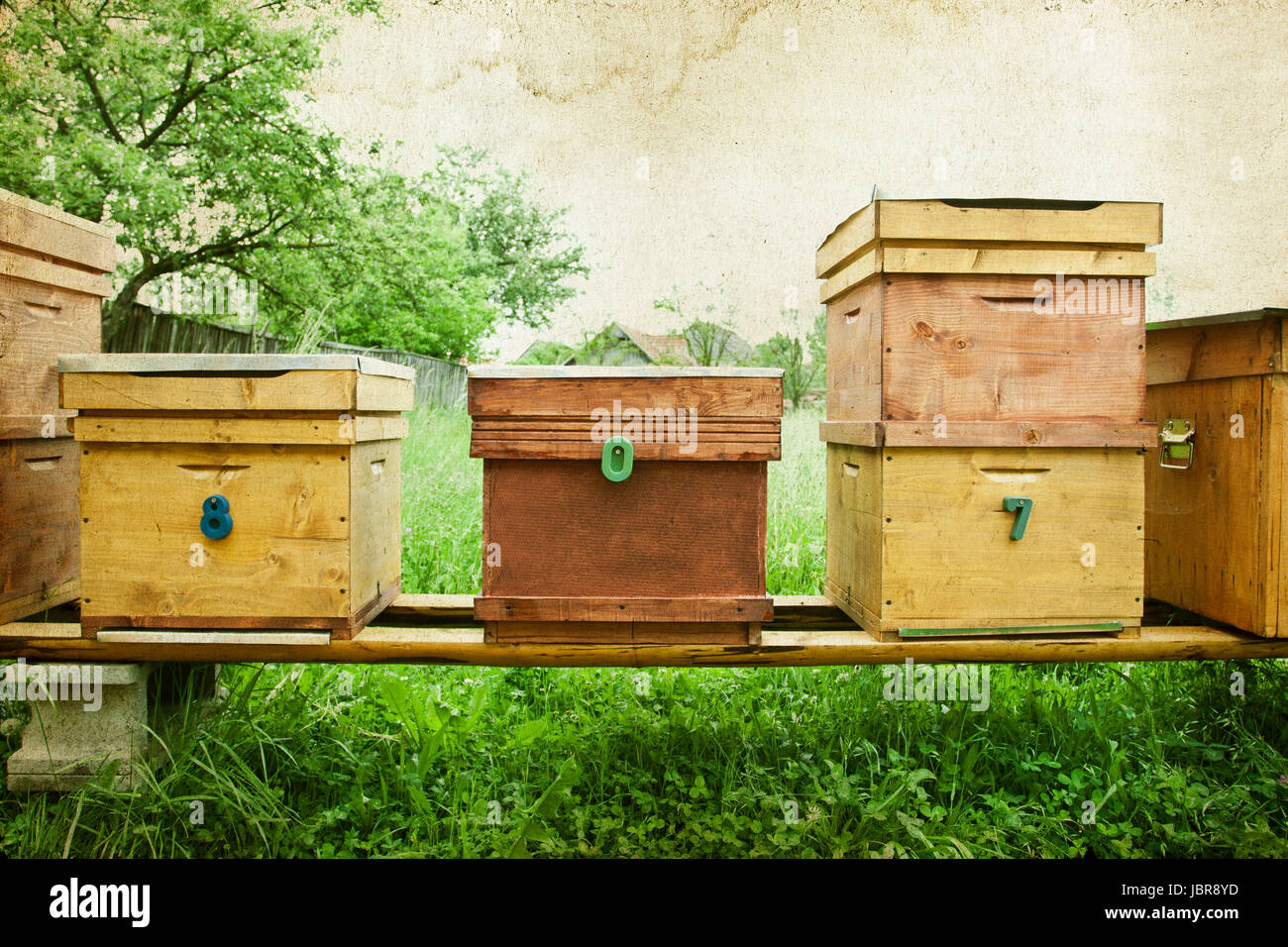 Vintage photo of bee hives in the field Stock Photo - Alamy