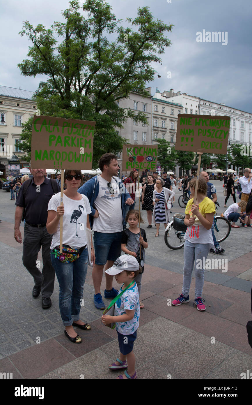 Cracow, Poland. 12th Jun, 2017. Protest against the large scale logging at Bialowieza forest, an Unesco natural world heritage site in Cracow, Poland on June 12, 2017.The Minister of the Environment Jan Szyszko believes that cutting down trees will help prevent the spread of European spruce bark beetle, while scientists, ecologists and Poles are afraid of degrading habitats of many animal species and losing their national heritage. Credit: Iwona Fijoł/Alamy Live News Stock Photo