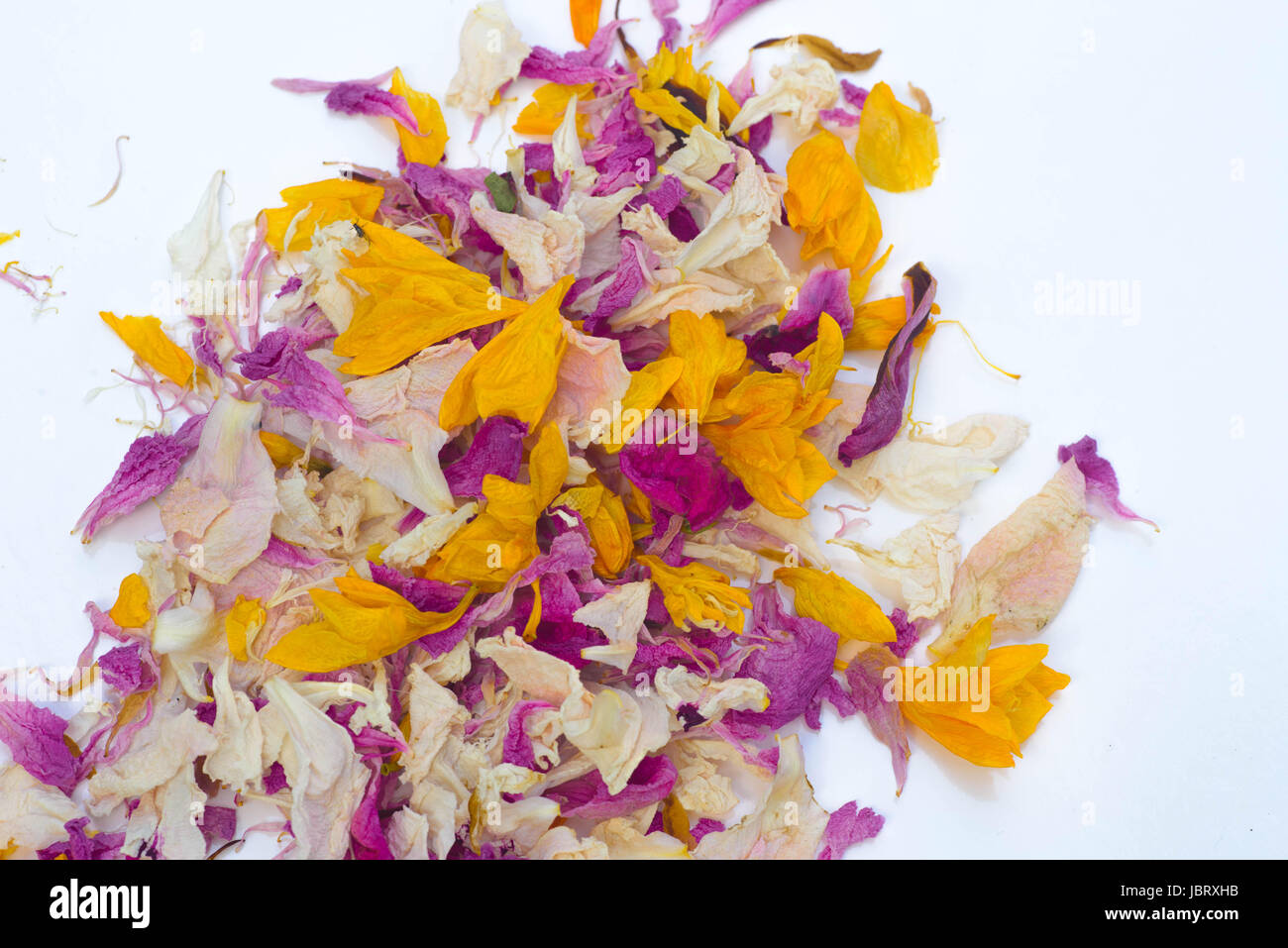 multicolored dried flower petals potpourri on white background Stock