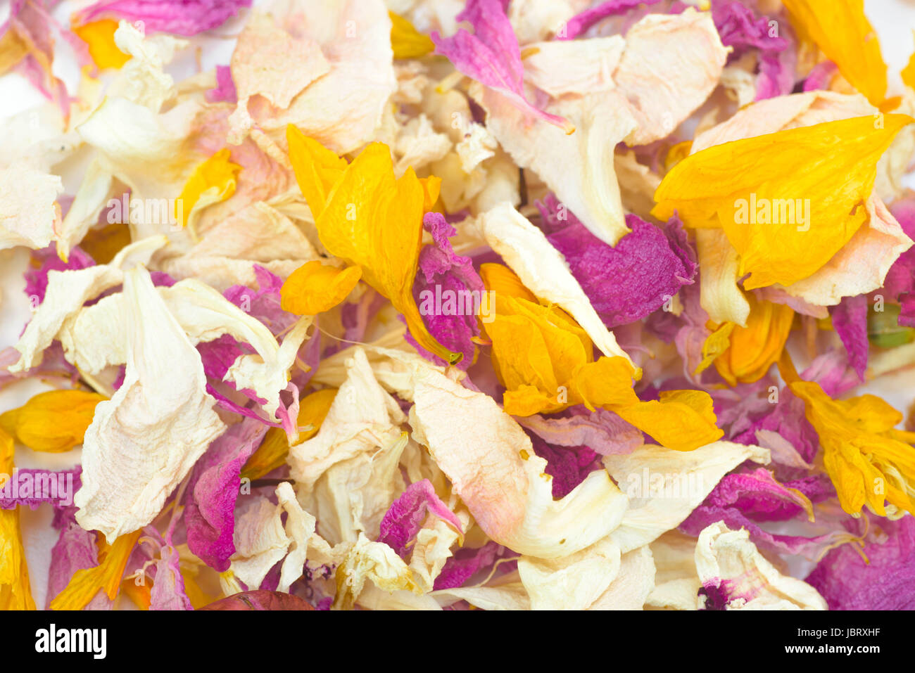 multicolored dried flower petals potpourri on white background Stock