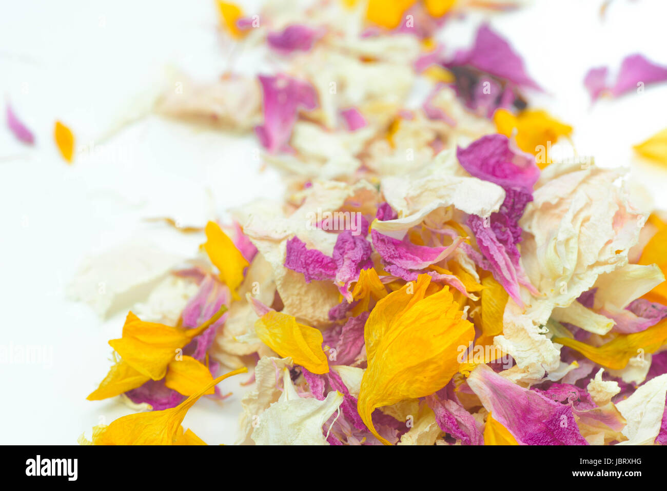 multicolored dried flower petals potpourri on white background Stock