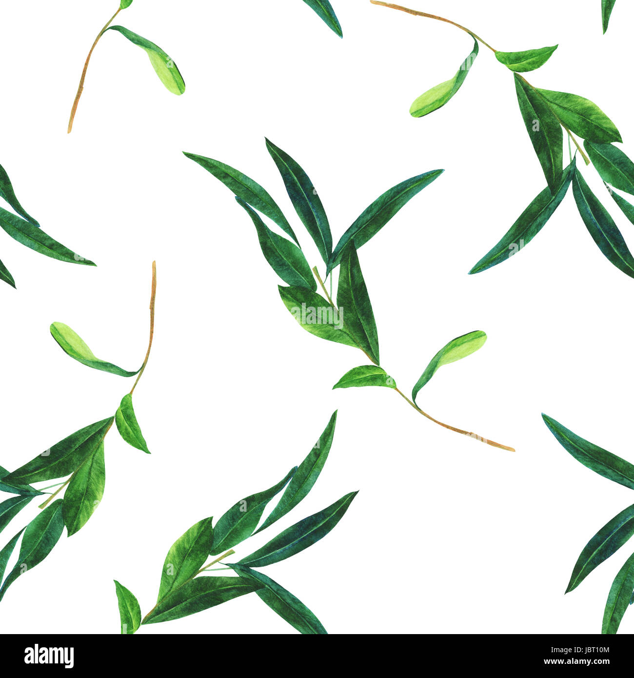 Seamless pattern with watercolor olive branch on white Stock Photo - Alamy