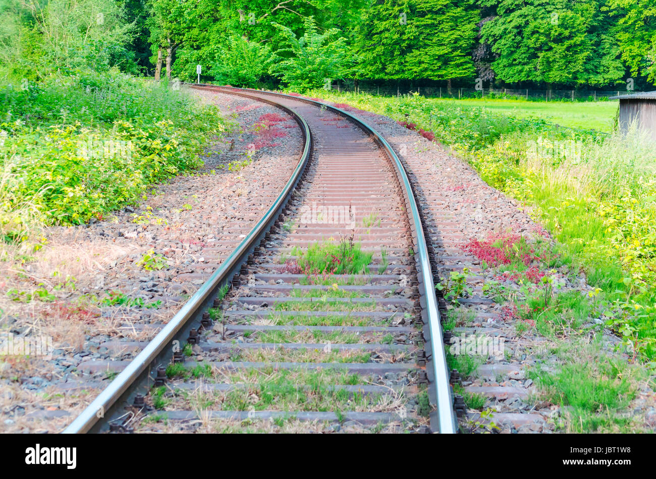 Ansicht auf Eisenbahnschienen, Strecke mit einem bunten Bewuchs. Stock Photo