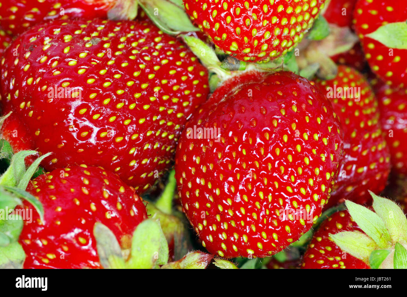 macro of a strawberry texture Stock Photo - Alamy