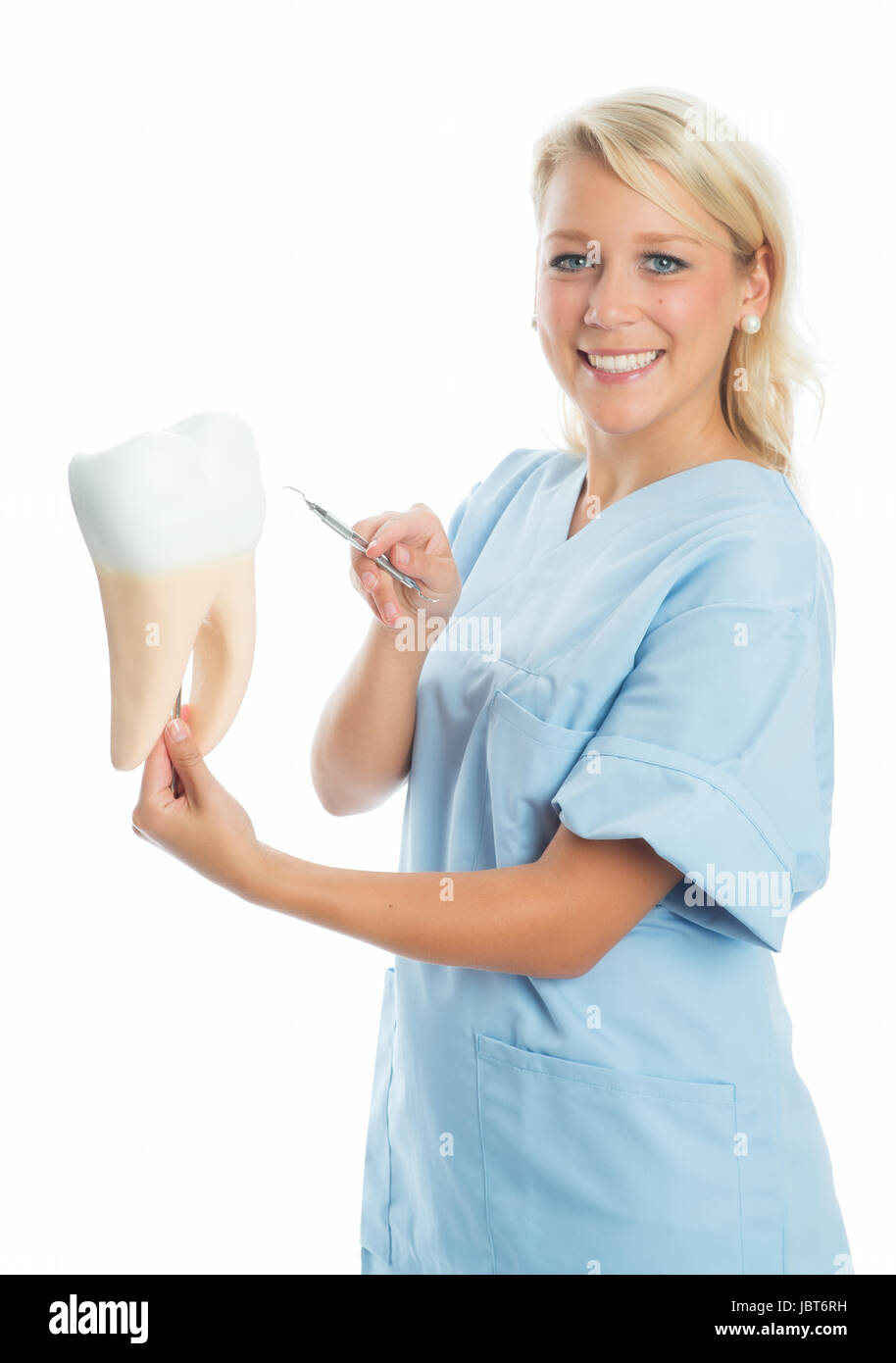 dentist explains tooth structure Stock Photo