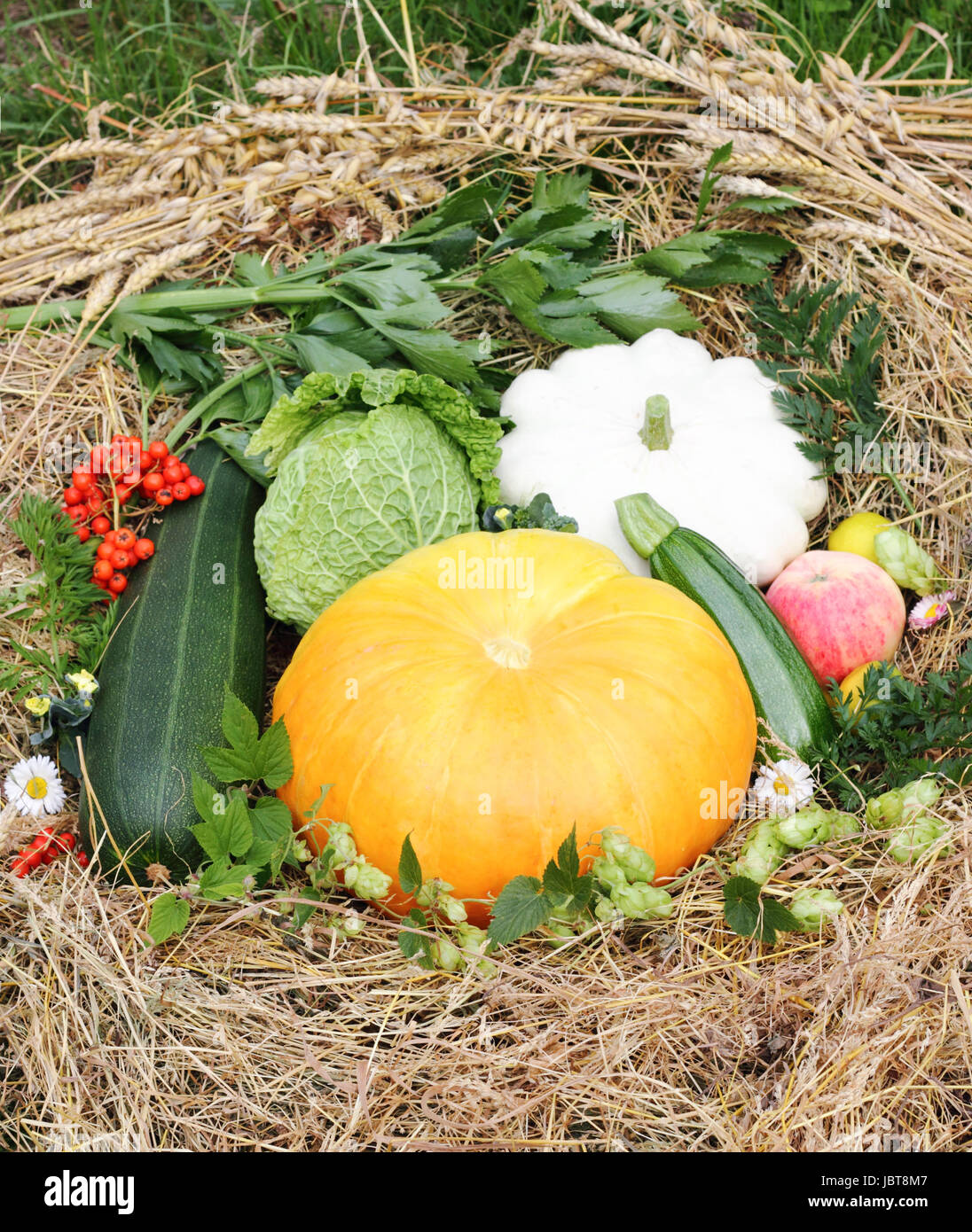autumn harvest composition with fresh vegetables and fruits Stock Photo ...