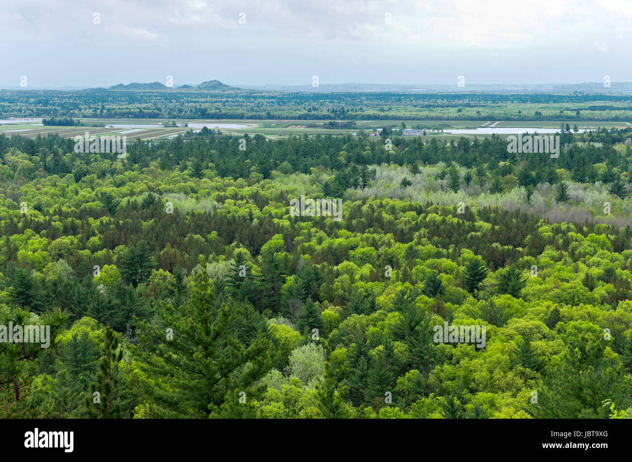 aerial view of black river state forest and cranberry bogs from atop