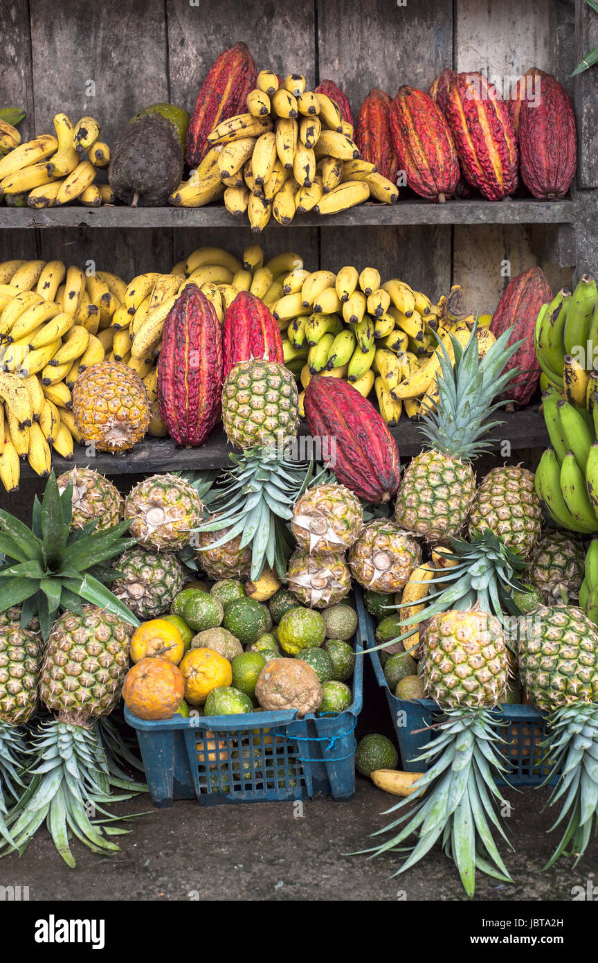 Cocoa fruit surrounded by other tropical fruits on the counter of the Latin America street market, Ecuador Stock Photo