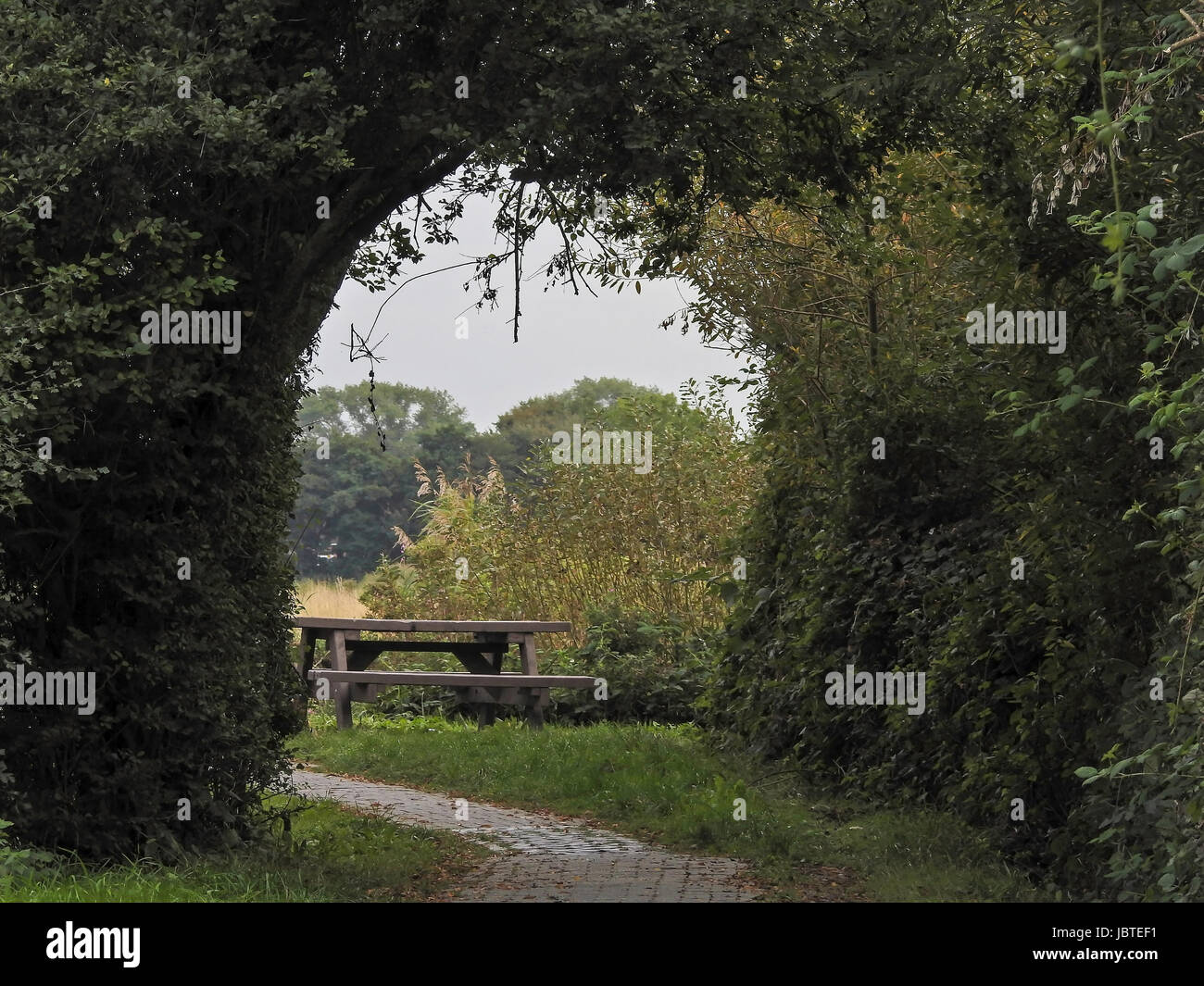 Pflanzentunnel / plant tunnel Stock Photo - Alamy