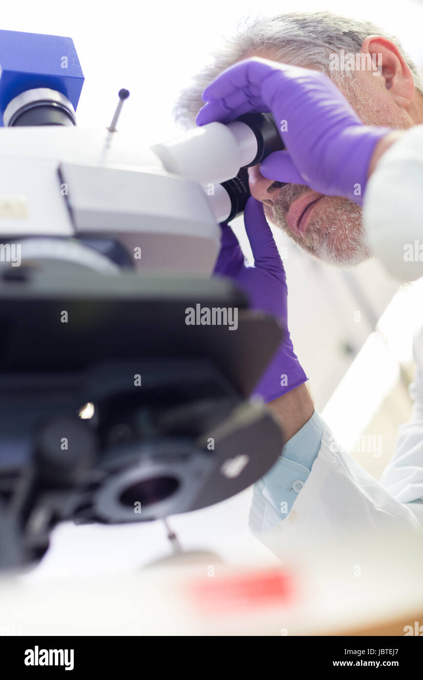 Senior head scientist microscoping in the life science research