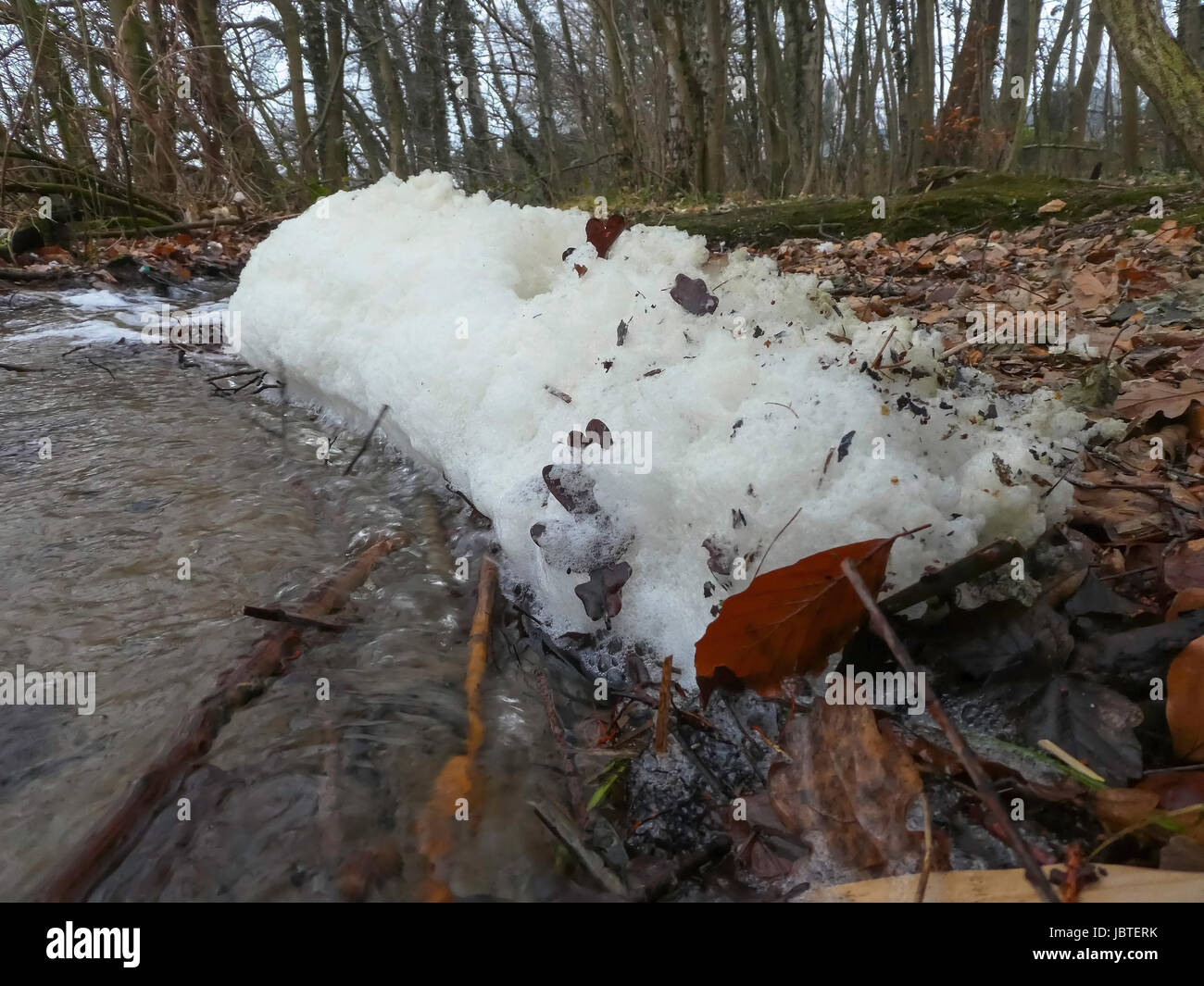 Schaum hires stock photography and images Alamy