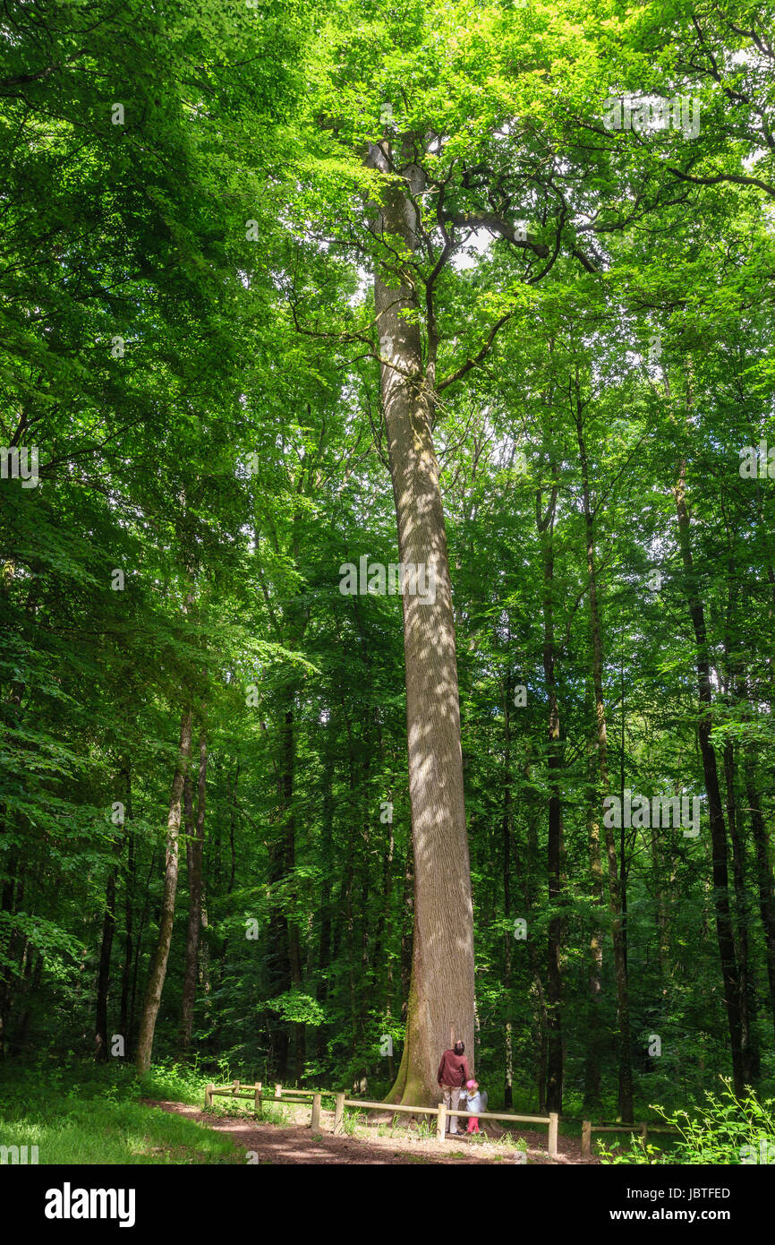 France, Orne (61), Parc Régional Naturel du Perche, Parc Régional