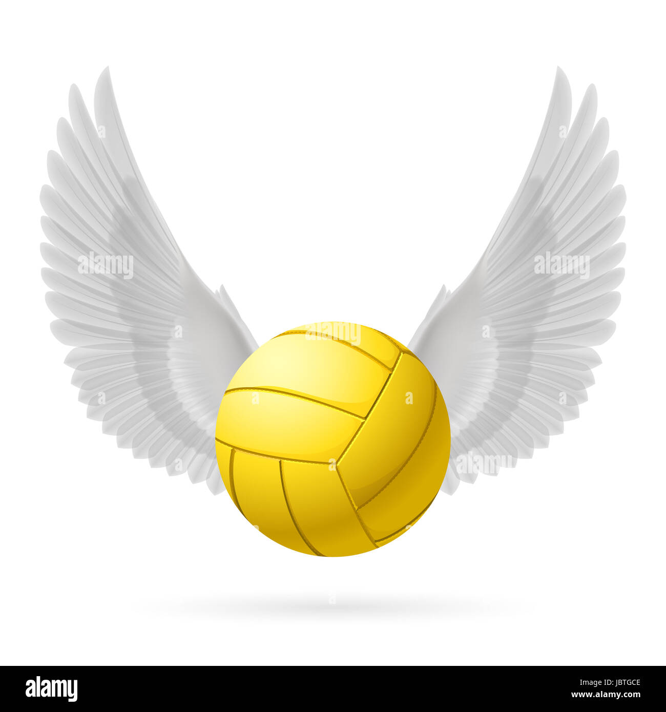 Realistic volley ball with white wings emblem Stock Photo Alamy