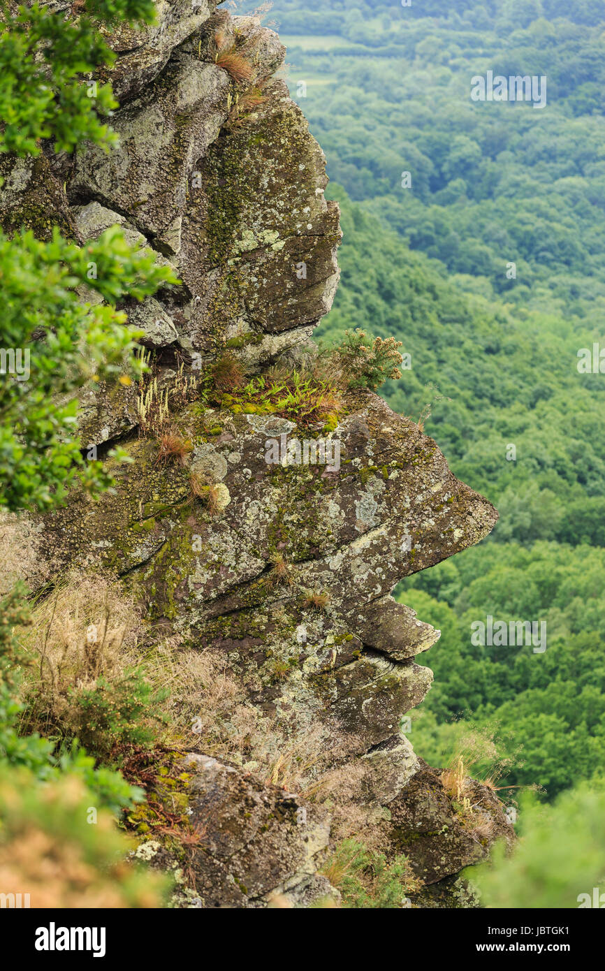 France, Orne (61), Saint-Philbert-sur-Orne, la Roche d'Oëtre, rocher dit le profil humain ou Sphinx // France, Orne, Saint Philbert sur Orne, The Rock Stock Photo