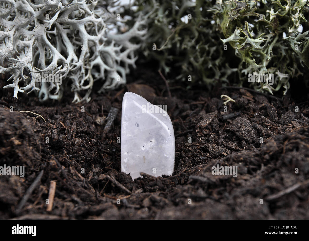 Rock crystal on forest floor Stock Photo - Alamy