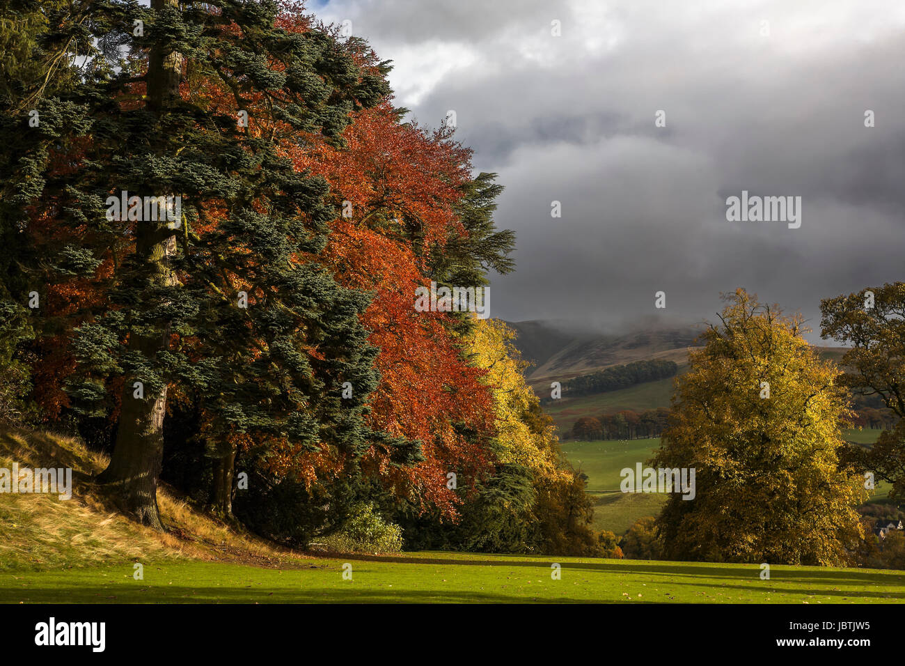 The grounds of Barony Castle, Eddleston, Scottish Borders: Autumn colour and a threatening sky Stock Photo